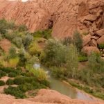 four-day Marrakech desert tour