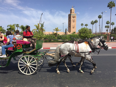 7 Days Marrakech Desert Tour