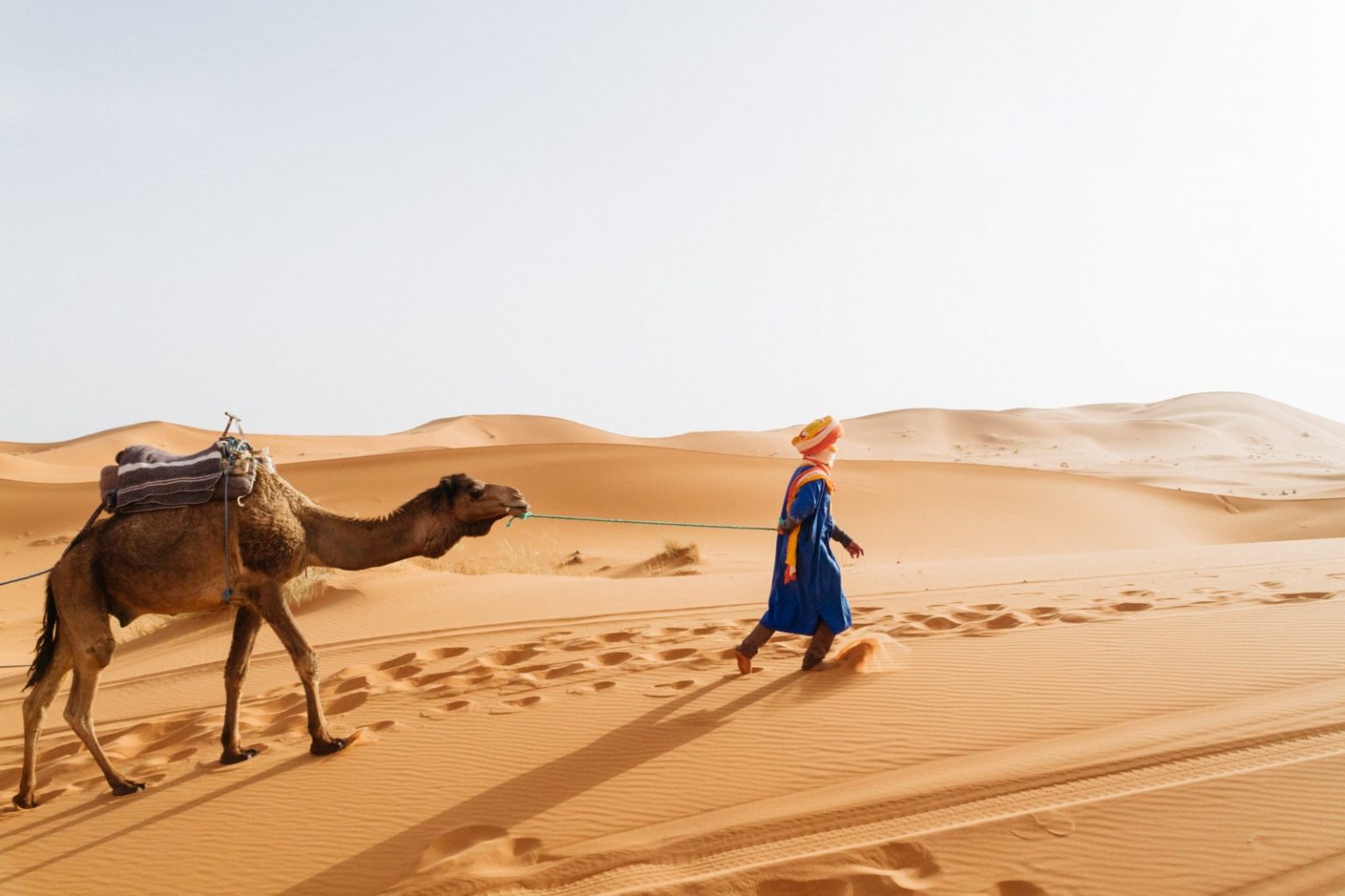 The Top Things To Do In the Sahara Desert