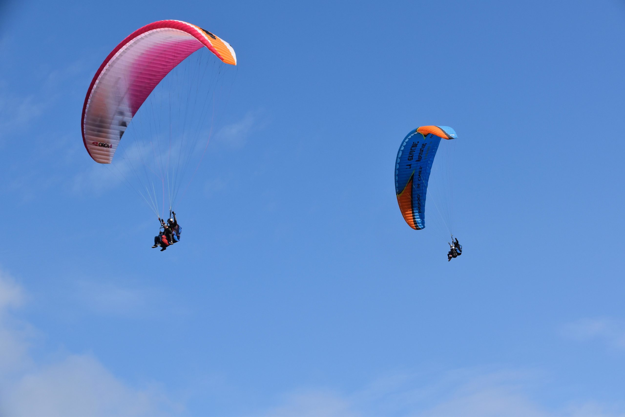 paragliders-4391667 - Copy