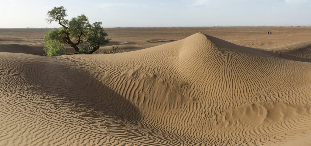 Zagora Desert