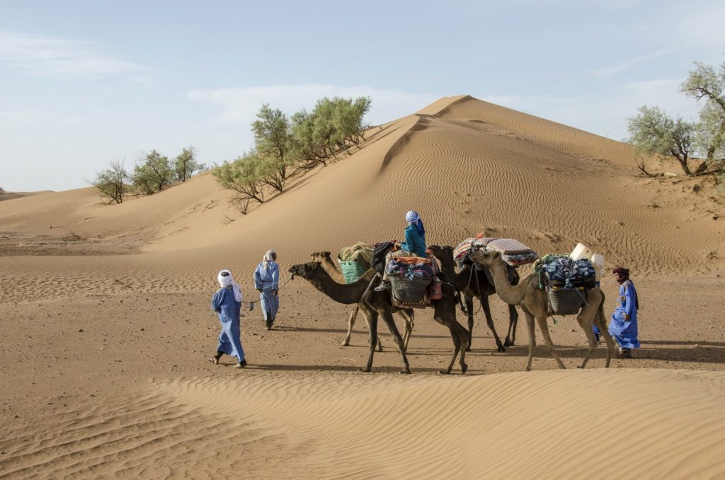 morocco desert safari