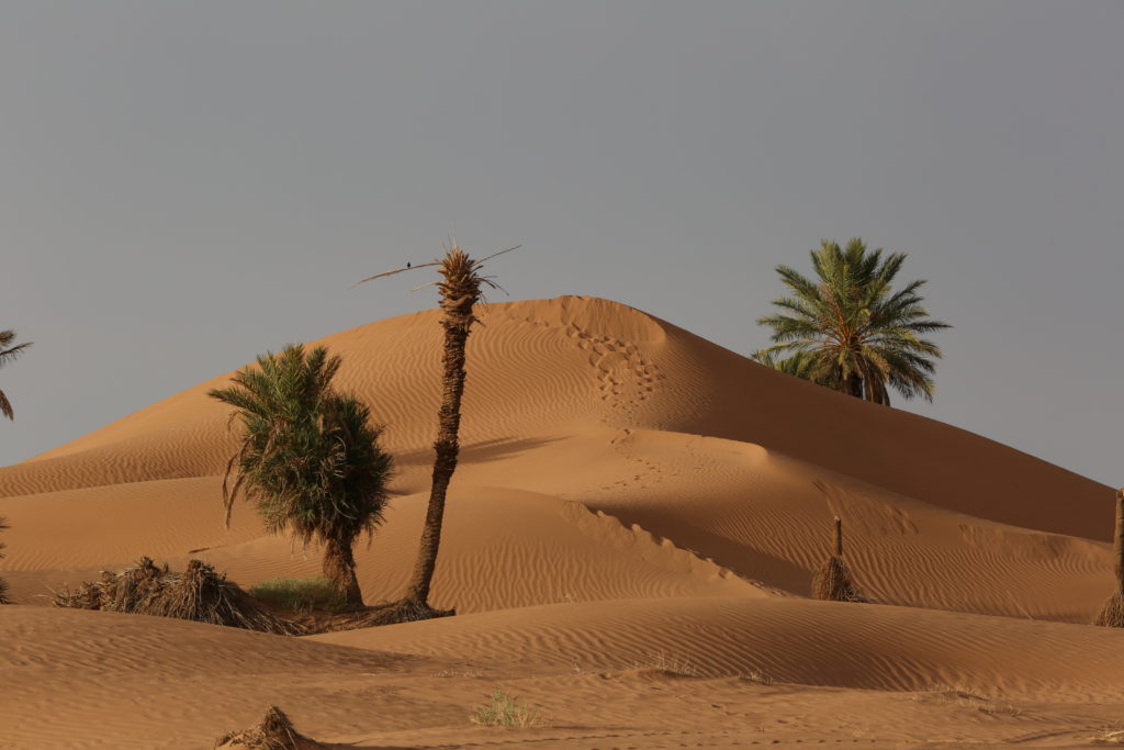 south of morocco, the weather in Morocco