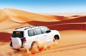 Book a Driver for Morocco Trip