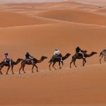 Marrakech To Fez Desert Tour 3 day