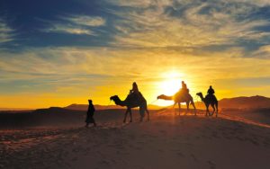 Camel Trekking in Morocco 3