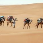 5-day tour from Marrakech to Draa Valley