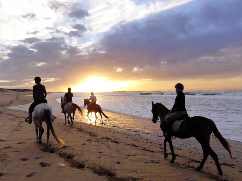 Horseback Riding - Essaouira Horse Riding