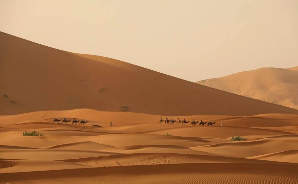 Voyage Organisé au Maroc