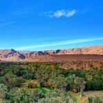 todra-gorges-morocco