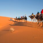 Desert tour 3-Day itinerary From Marrakech to Fes