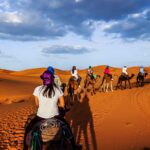 Desert tour 3-Day itinerary From Marrakech to Fes