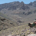 mount toubkal trek 2 days