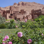 three-day desert tour from Marrakech