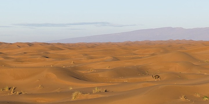 Trekking In Morocco