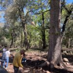 3 Days Fes to Marrakech Desert Tour via Merzouga 4