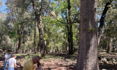 15-Day Grand Morocco Tour Itinerary Guide