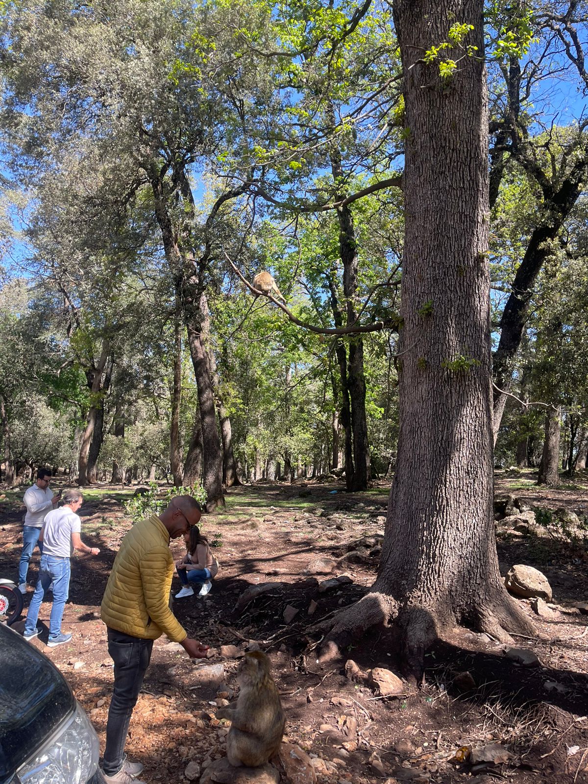 15-Day Grand Morocco Tour Itinerary Guide