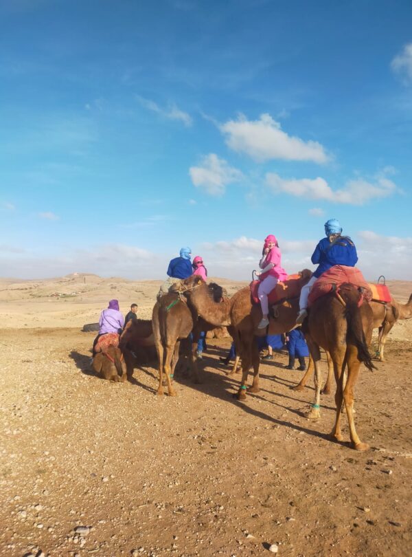 Camel Riding in Agafay Desert, Marrakech, Morocco