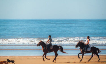 Essaouira Day Trip from Marrakech