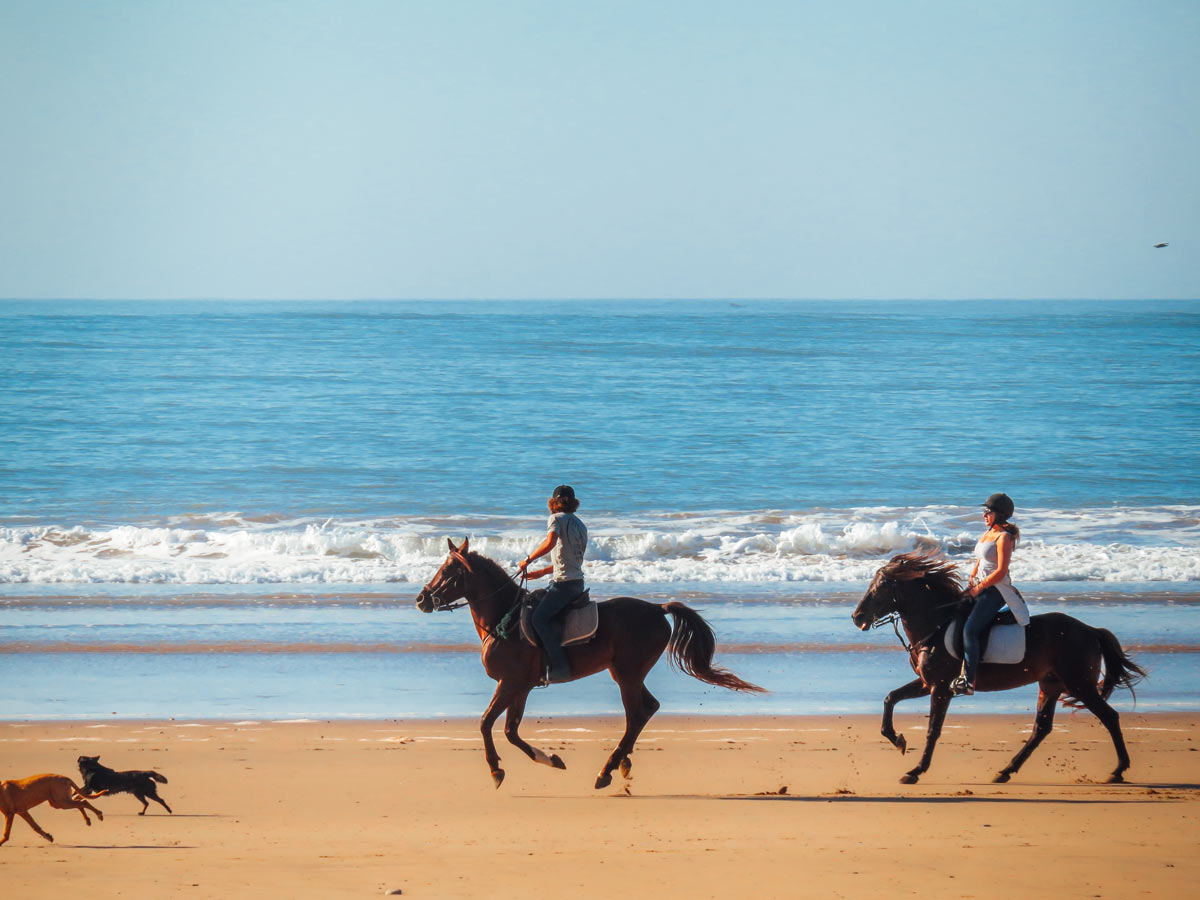 Essaouira Day Trip from Marrakech