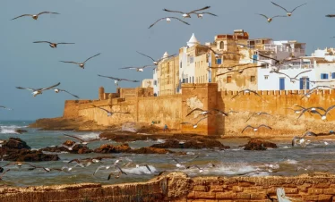 Essaouira Day Trip from Marrakech