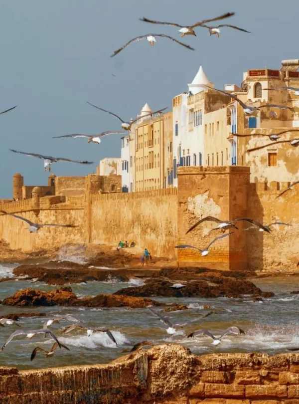 Essaouira Day Trip from Marrakech