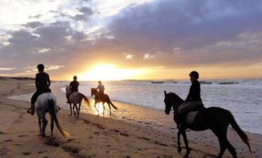 Essaouira Day Trip from Marrakech