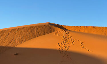 Morocco 15 Day Tour from Casablanca Itinerary