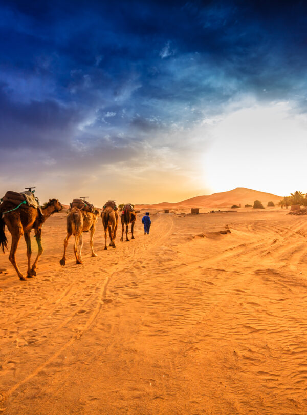 3-Day Desert Tour from Marrakesh to Merzouga