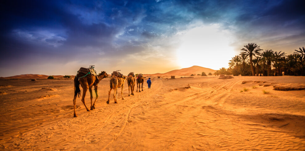 3-Day Desert Tour from Marrakesh to Merzouga
