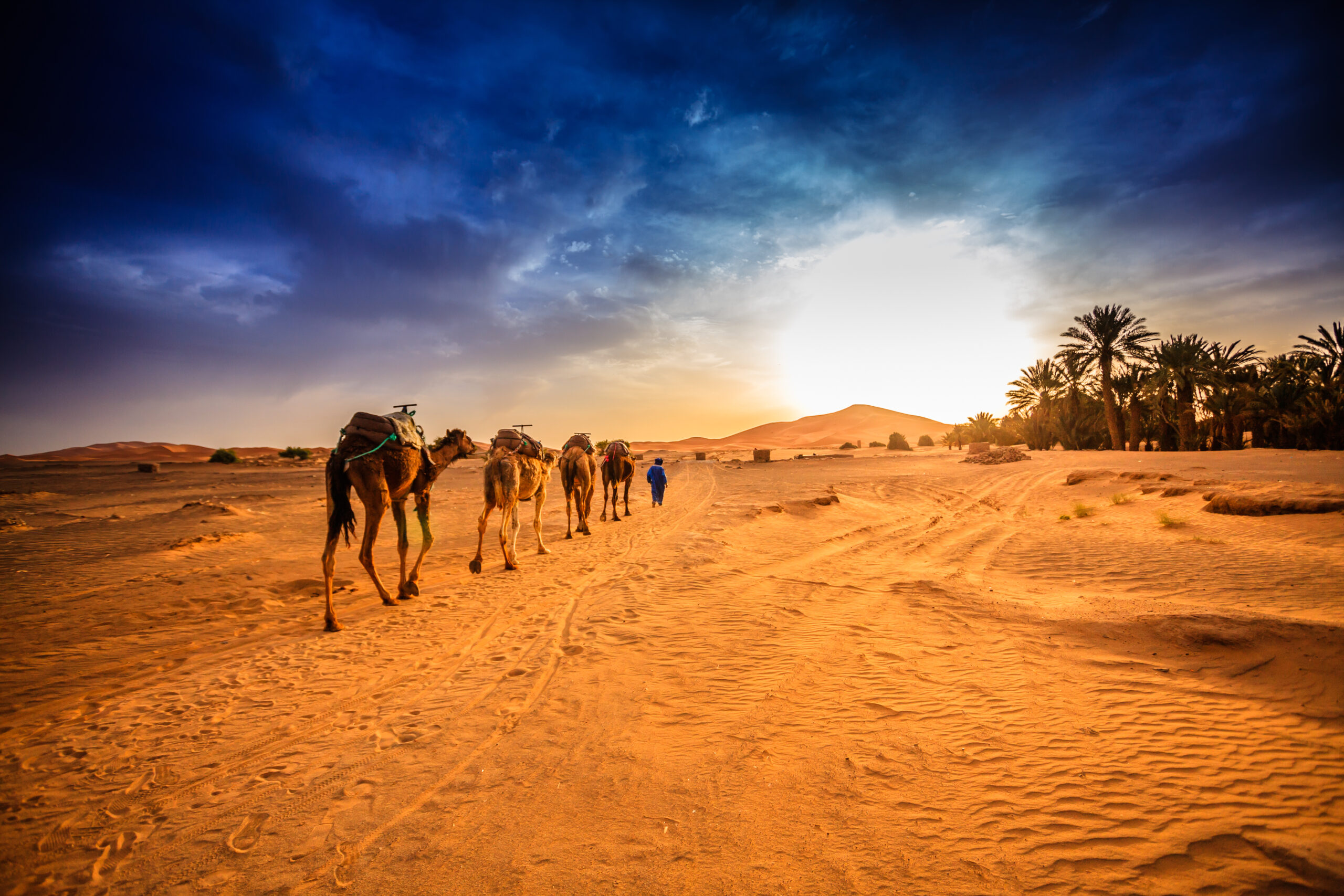 3-Day Desert Tour from Marrakesh to Merzouga