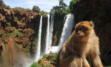 Ouzoud Waterfalls day trip from Marrakech