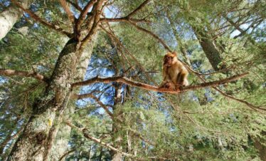 Private Morocco Tour 12-Day Morocco Highlights Adventure desert tour to merzouga