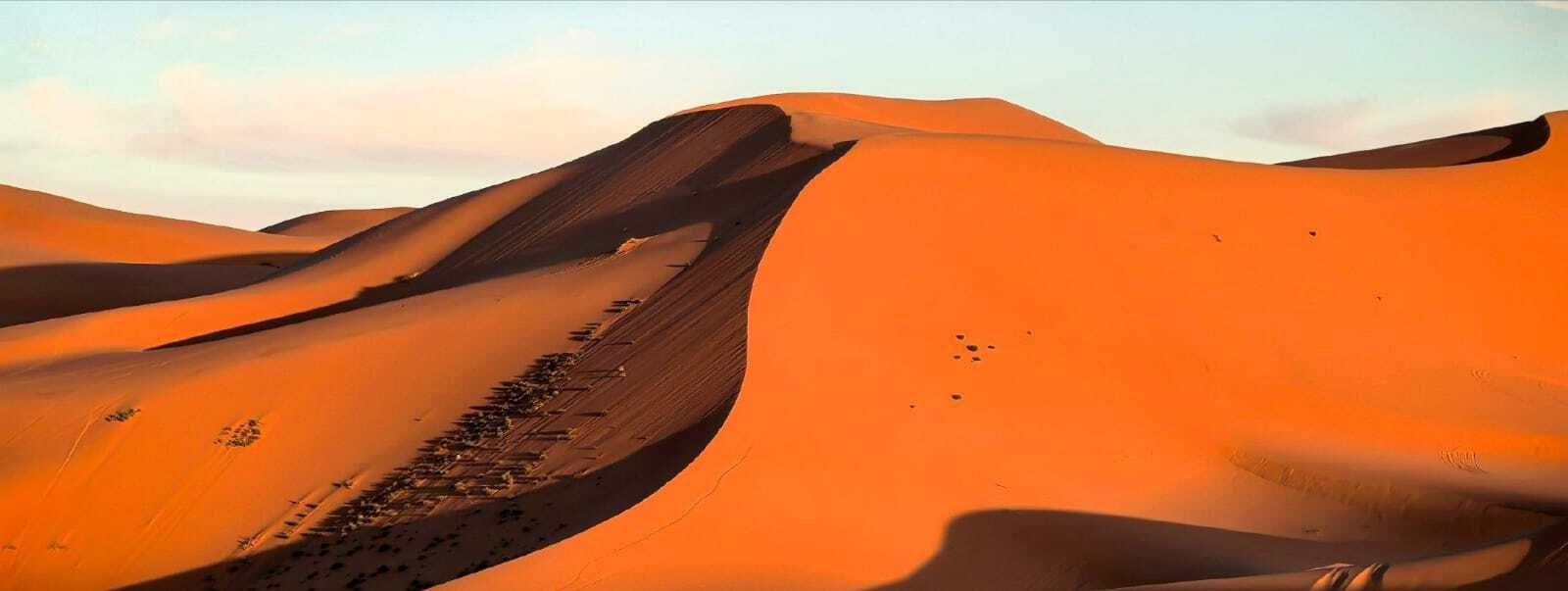 Things to Do in Merzouga Desert