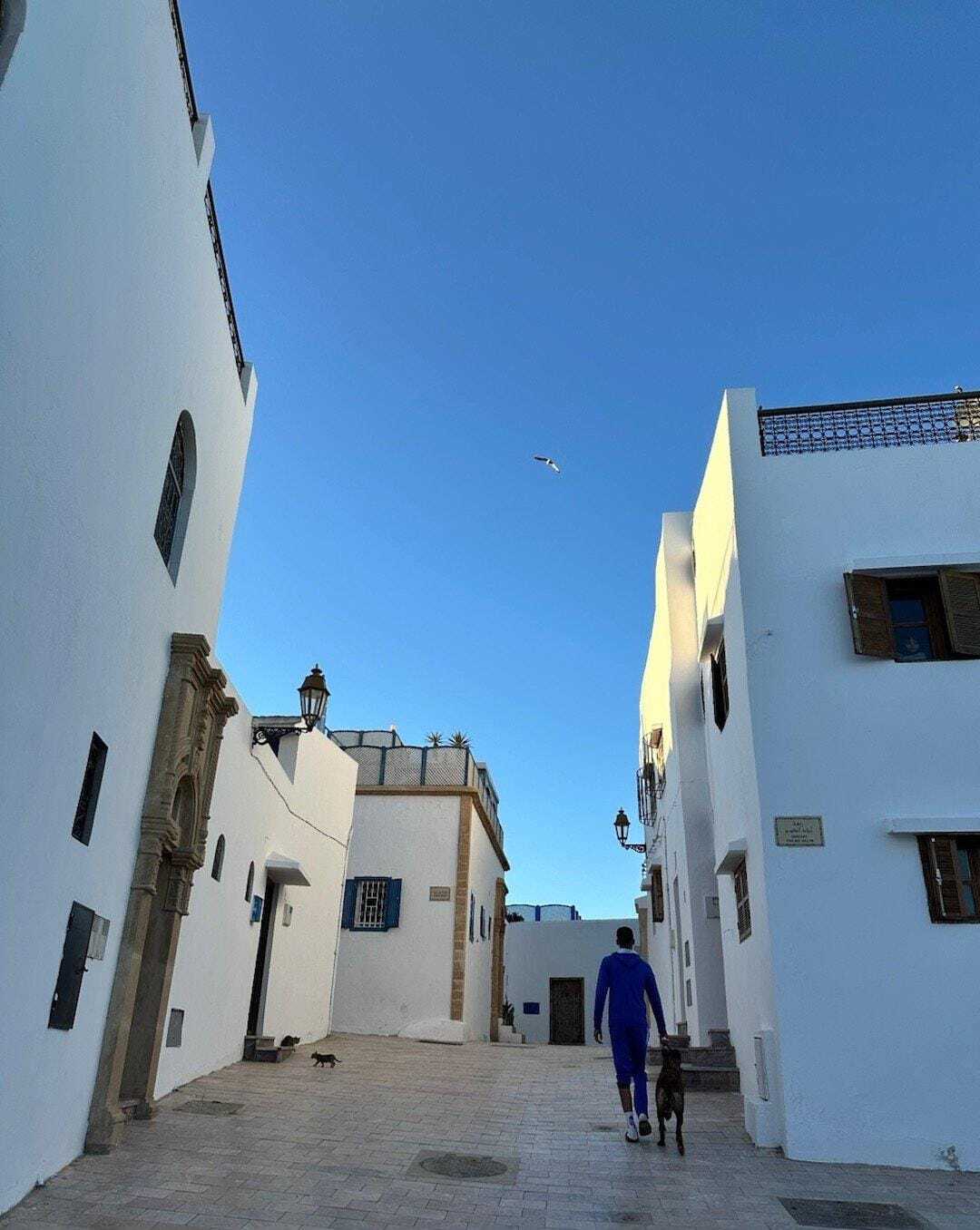 Day Trip from Casablanca to Rabat