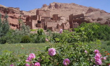 15-day Morocco Sahara Desert and Imperial Cities Tour