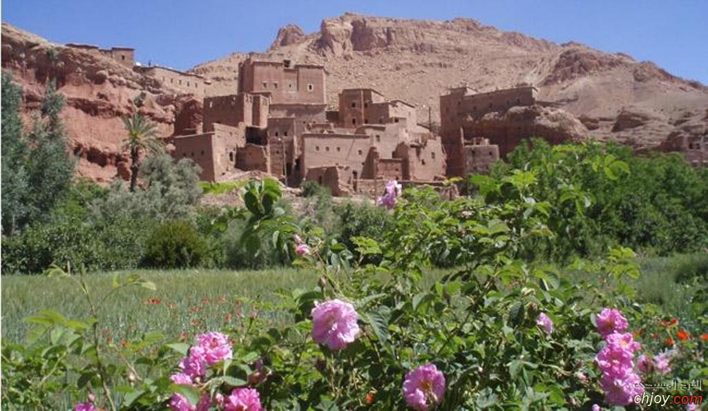 15-day Morocco Sahara Desert and Imperial Cities Tour