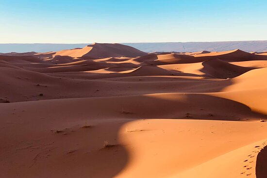 The Best Time to Book Moroccan Tours for Your Travel Style (2026-2027)