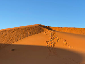 3-Day Morocco Desert Tours