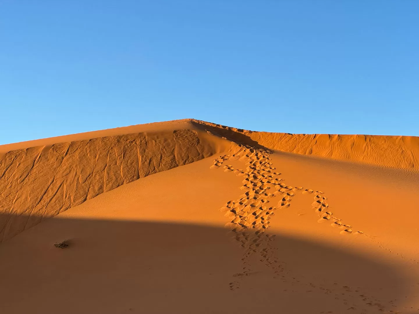 Marrakech Itinerary 8 Day