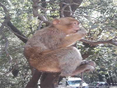 3 Days Fez to Marrakech through Merzouga Desert,