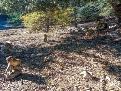 Marrakech To Fez Desert Tour 3 day