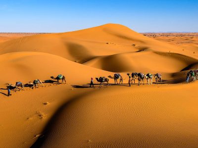 Morocco Desert Tours