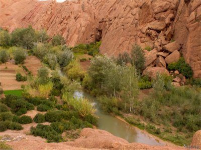 four-day Marrakech desert tour