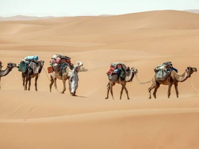 Exploring Draa Valley: A Travel Guide