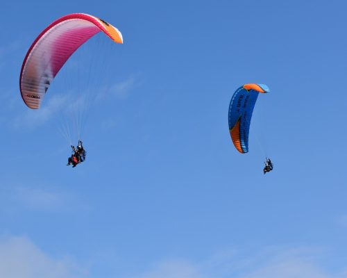 paragliders-4391667 - Copy